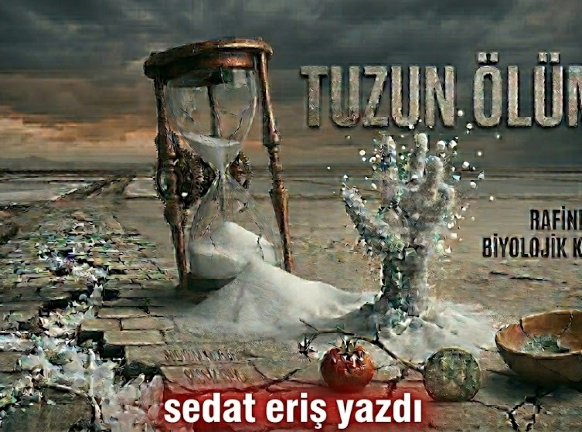 Tuzun Ölümü: Bir Medeniyetin Tadının ve Hafızasının Silinişi